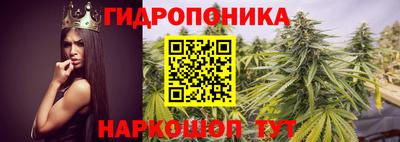 прущая мука Гусиноозёрск