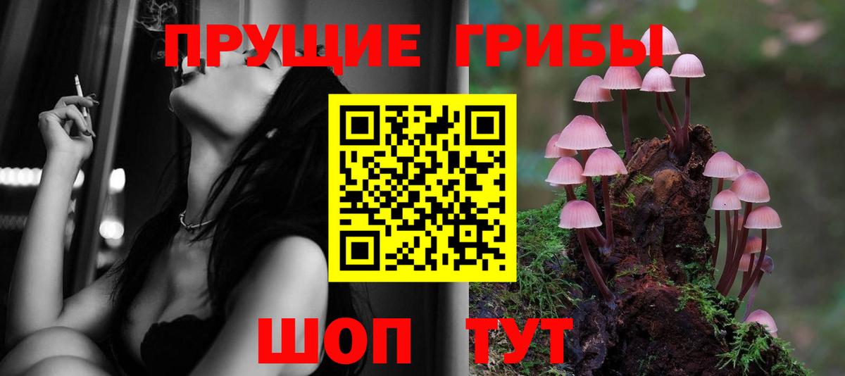 Галлюциногенные грибы Magic Shrooms Новоалександровск